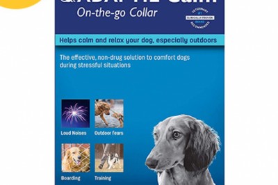 Buy Adaptil Calm On-The-Go Collar For Dogs Online - DiscountPetCare