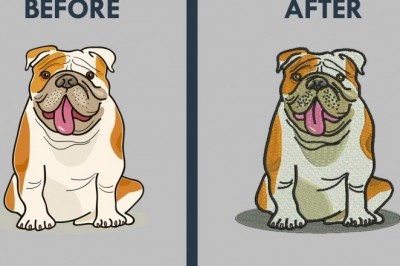 Embroidery digitizing