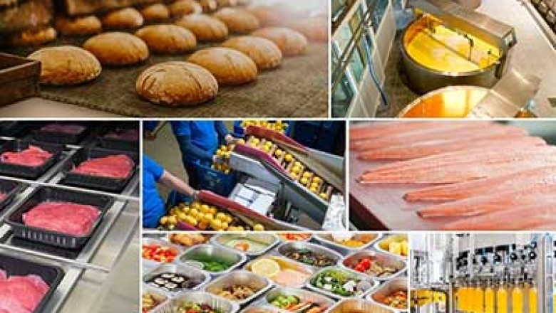 Metal Detectors In Seafood Processing Units