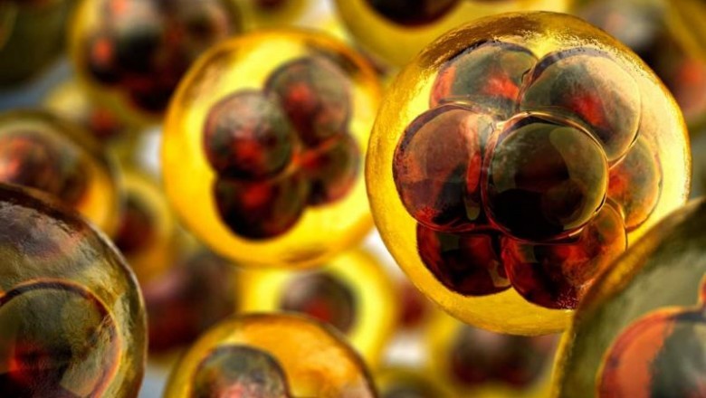 3D cell culture helps researchers to analyse and examine wide spectrum of disorders and possible treatment