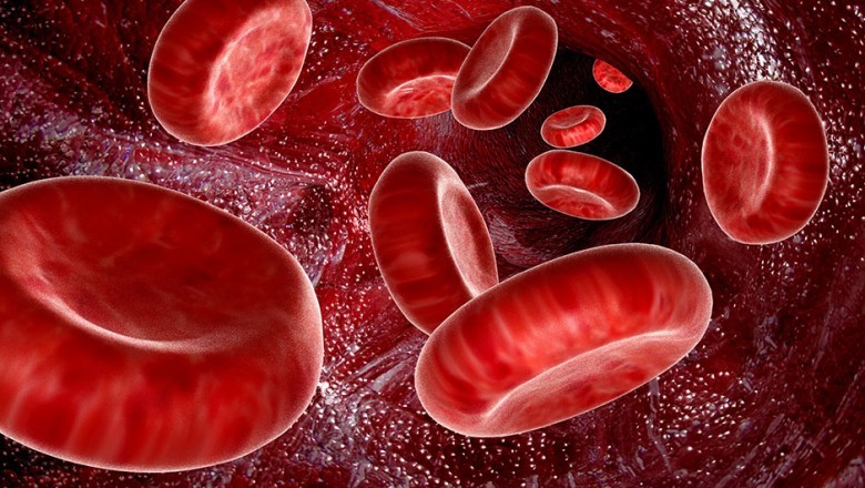 A Quick Overview of Is Artificial Blood the Future of Blood Transfusion