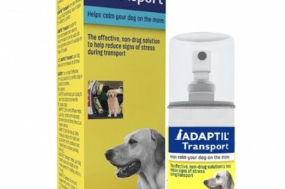 Buy Adaptil Spray For Dogs Online - DiscountPetCare