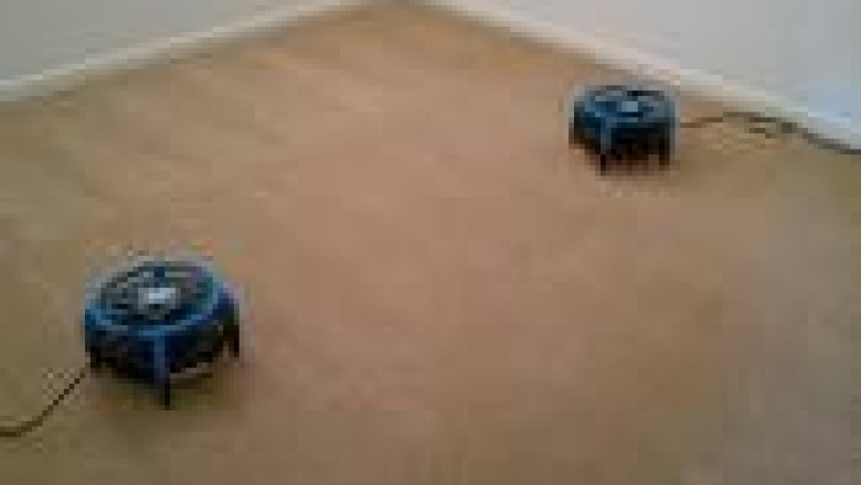 https://www.premierfloodrestoration.com.au/carpet-drying-willetton-wa/