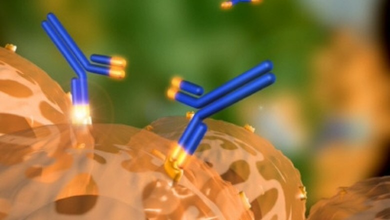 Graft Versus Host Disease (GvHD) Market to Grow Due to High Adoption of Hematopoietic Stem Cell Transplantation and Rising Cancer Prevalence