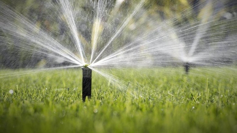 Spring Landscape Maintenance in Miami by The Billy Goat Lawn Care