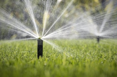 Spring Landscape Maintenance in Miami by The Billy Goat Lawn Care