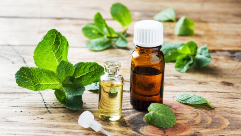Best Peppermint Oil