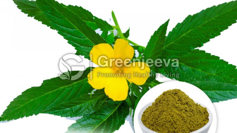 Damiana Extract Powder