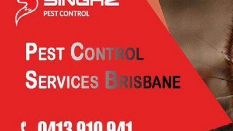 Singhz Pest Control Brisbane