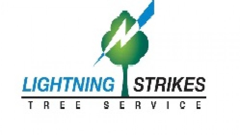 South Shore Tree Removal