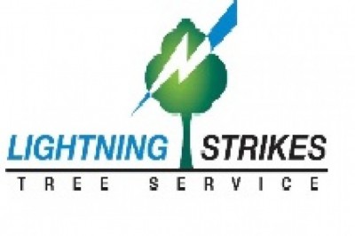 South Shore Tree Removal