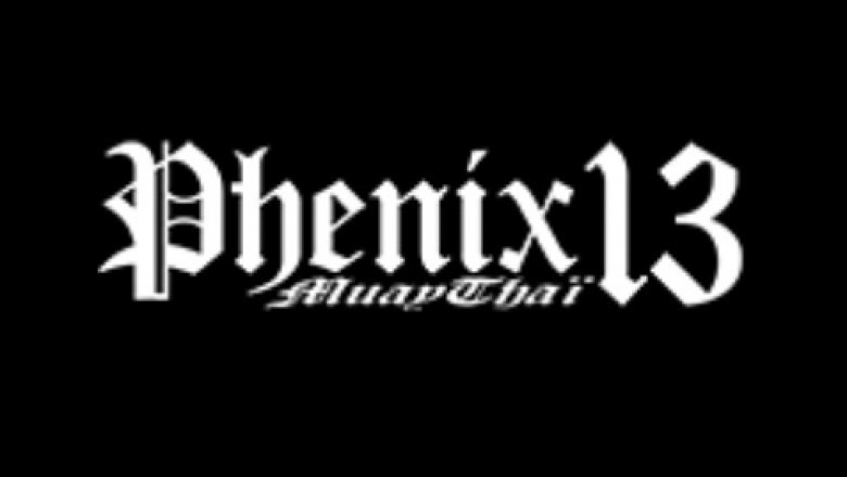 Cours particulier boxe thai