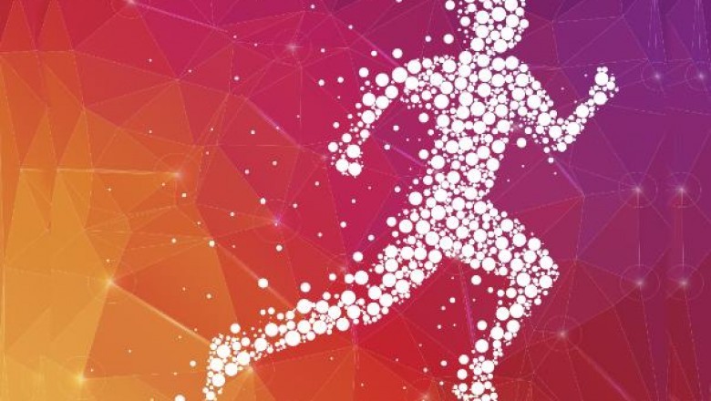 Optimization Of Your Health And Performance