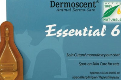 Buy Essential 6 For Cats Online - DiscountPetCare