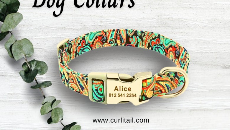Buy pet accessories USA at Best Prices at Curli Tail