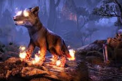 The Eso Gold importance