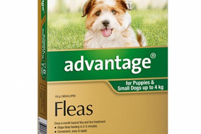 Buy Advantage Online At Lowest Price With Free Shipping - DiscountPetCare