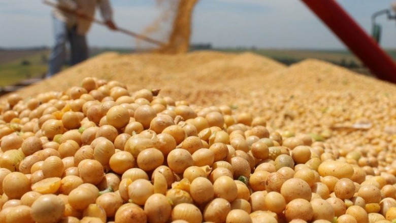 Soy Derivatives Market Explores New Growth Opportunities by 2028, Fortune Business Insights™