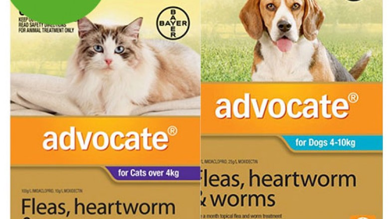Buy Advocate Online At Lowest Price With Free Shipping - DiscountPetCare