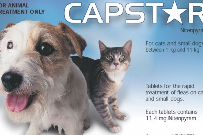Buy Capstar Online At Lowest Price With Free Shipping - DiscountPetCare