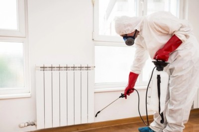 Get the Pest Control Bristol Quote from us