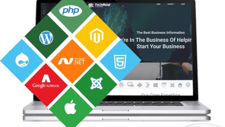 Web Software Development in Panchkula - Techmind Softwares
