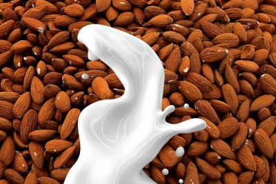 Almond Milk Market - Global Industry Analysis 2026