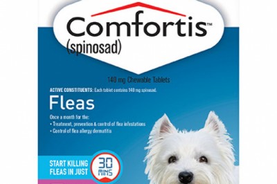 Buy Comfortis Online At Lowest Price With Free Shipping - DiscountPetCare