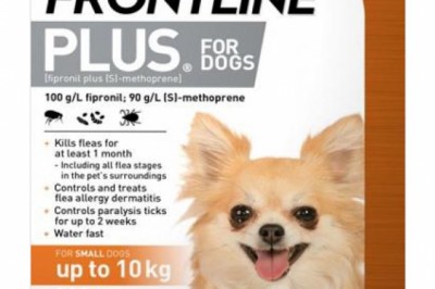 Buy Frontline Online At Lowest Price With Free Shipping - DiscountPetCare