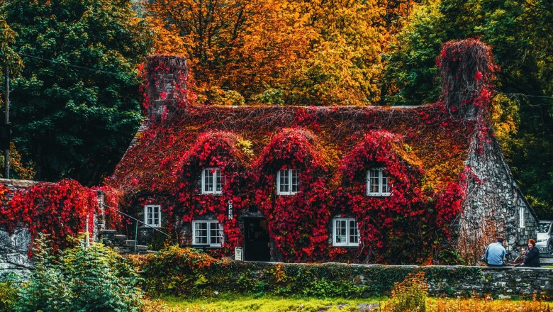 Matching your Garden to your home