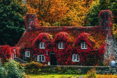 Matching your Garden to your home