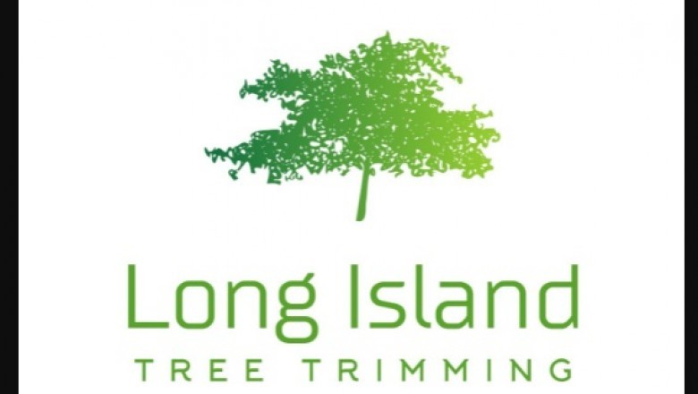 Tree Removal - Two Crucial Aspects to remember