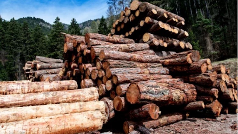 Bulk Firewood Box for Sale