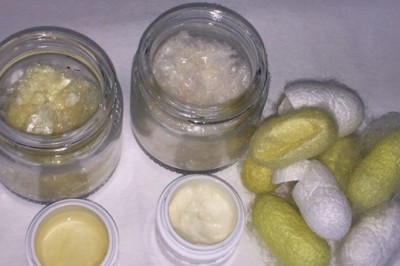 Demand For Natural Biomaterials Market To Witness Rapid Surge During The Period 2018–2026