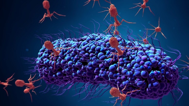 Bacteriophages Therapy Market is expanding rapidly with Armata Pharmaceuticals, Inc. investing US$ 20 million to support the advancement of the company’s bacteriophages development programs