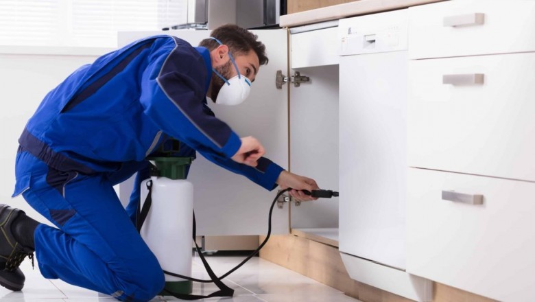 Pest Control for your Home: Quick and Powerful Techniques