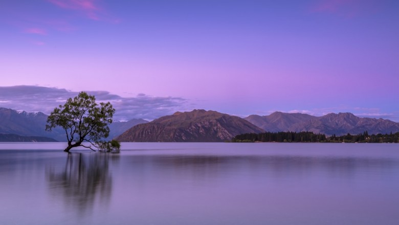 Cross Link International