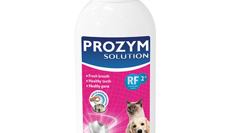 Buy Prozym Dental Solution For Dogs and Cats Online - DiscountPetCare