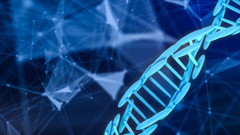 In the field of molecular biology, gene synthesis has arisen as a unique application.