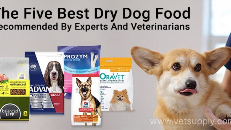 The Five Best Dry Dog Food: Recommended By Experts And Veterinarians