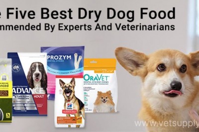 The Five Best Dry Dog Food: Recommended By Experts And Veterinarians