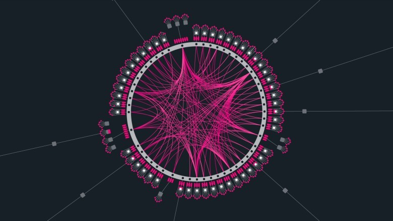 Cardano Or Polkadot, Which Is The Best Project?