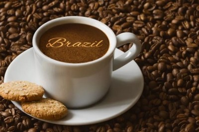 Search out the best pour over coffee maker