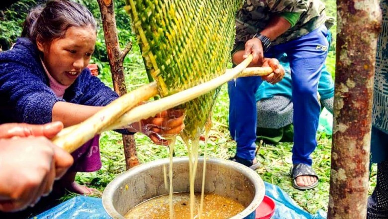 Buy Mad Honey | Best Mad Honey | Mad Honey Nepal