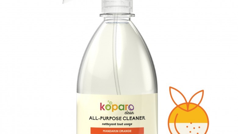 How Does an Organic Home Cleaning Products Producing Firm Grab the Market?