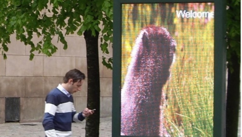 LED Video Display