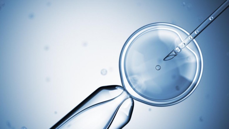 Artificial Sperm Could Aid in the Fight Against Global Infertility