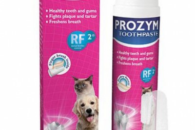 Buy Prozym Dental Toothpaste Kit For Dogs & Cats Online - DiscountPetCare