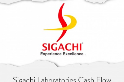 Sigachi Laboratories Cash Flow