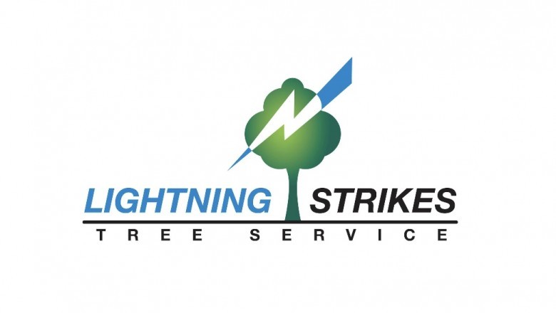 Tree Removal Canton MA